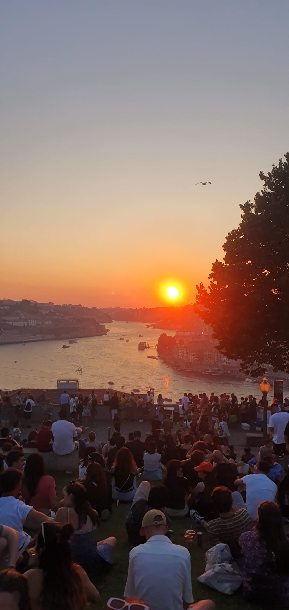 Crowd of people sitting on a grassy hill watching a sunset over a river, with boats on the water and buildings in the background.